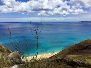 Ein heller Sandstrand und und ein klares, blaues Meer warten auf Porto Santo auf alle Interessierten.