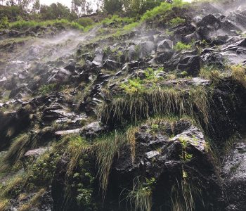 Regenjacke dabei? Wenn nicht, kann es bei einer Wanderung an der Levada do Risco ganz schön nass werden.