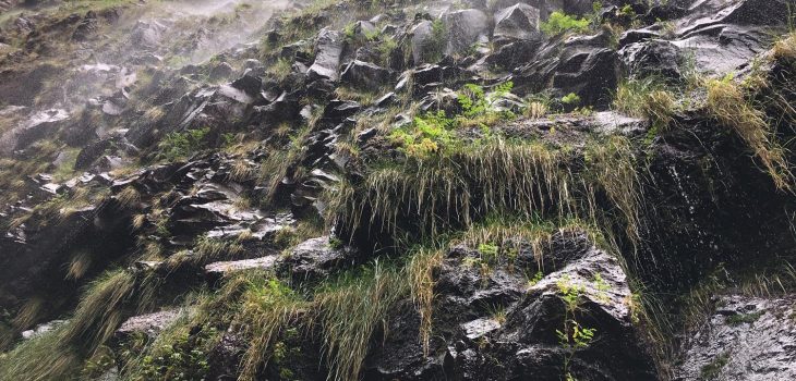Regenjacke dabei? Wenn nicht, kann es bei einer Wanderung an der Levada do Risco ganz schön nass werden.