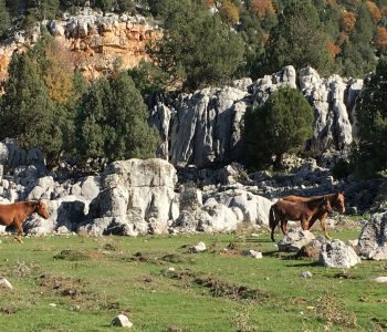 Ein Blick über die Gipfel des Taurusgebirges in Richtung Küste.