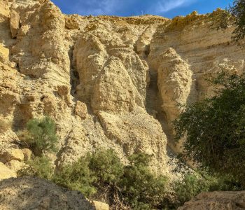 Felsen in der Oase En Gedi in der Negev-Wüste in Israel
