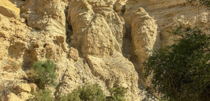 Felsen in der Oase En Gedi in der Negev-Wüste in Israel