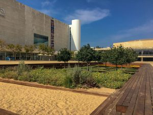 Vorplatz des Habima-Theaters in Tel Aviv