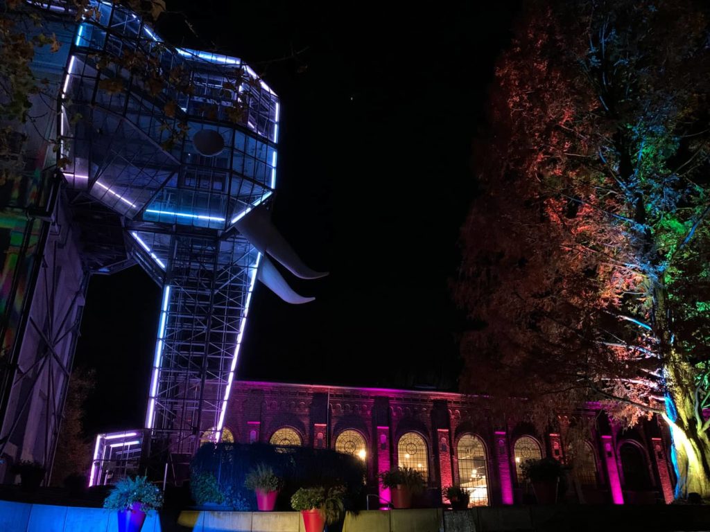 Elefant beim Herbstleuchten im Maxipark Hamm
