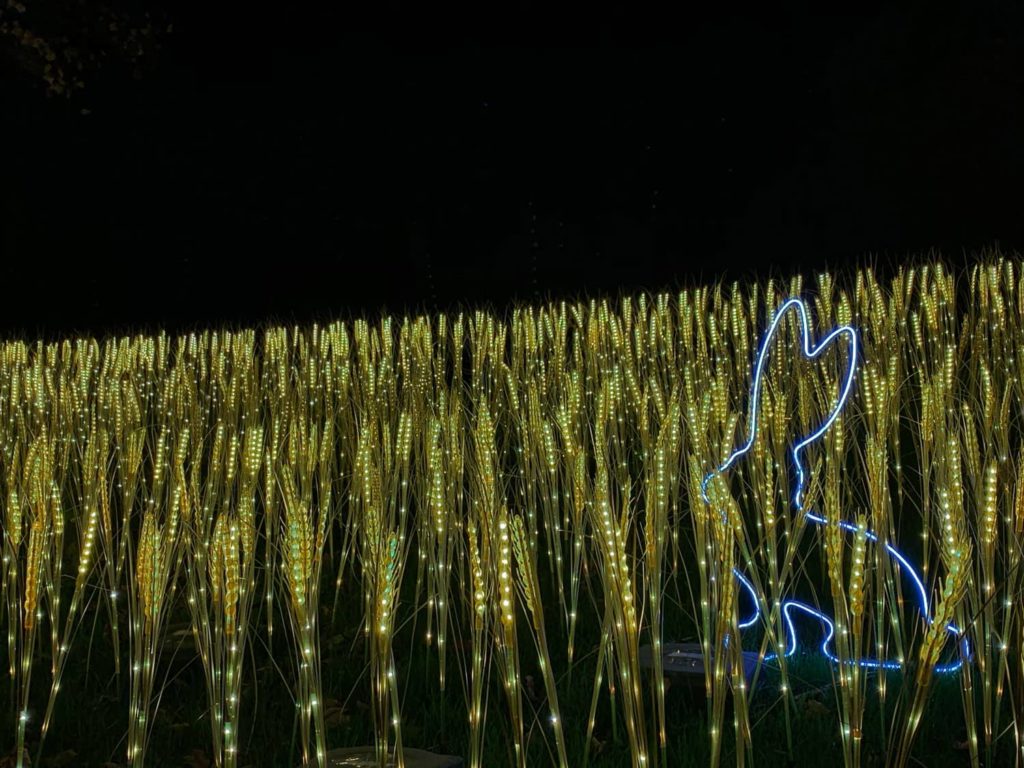 Installation "Feld" beim Herbstleuchten im Maxipark Hamm