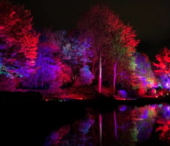 Illuminierter See beim Herbstleuchten im Maxipark Hamm