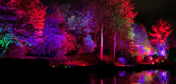 Illuminierter See beim Herbstleuchten im Maxipark Hamm