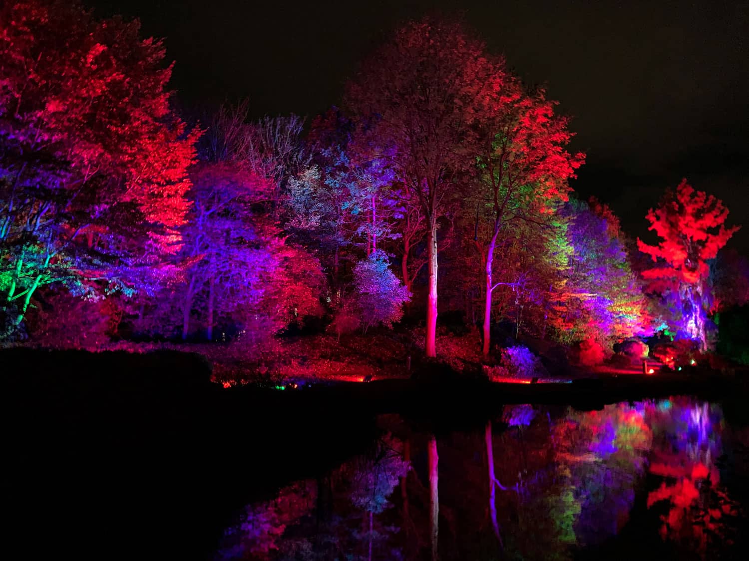 Illuminierter See beim Herbstleuchten im Maxipark Hamm