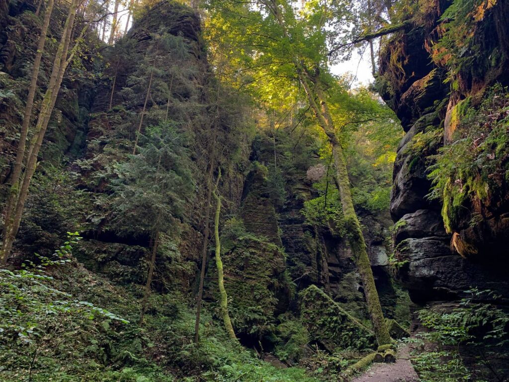 Uttewalder Grund am Malerweg in der Sächsischen Schweiz