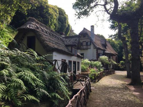 Levada-do-caldeirao-verde-1