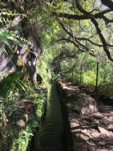 Levada-do-caldeirao-verde-3