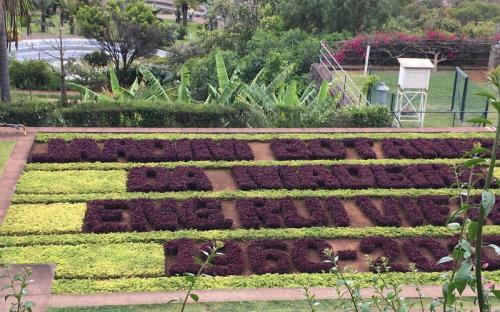Madeira-Funchal-jardim-botanico-botanischer-garten-11