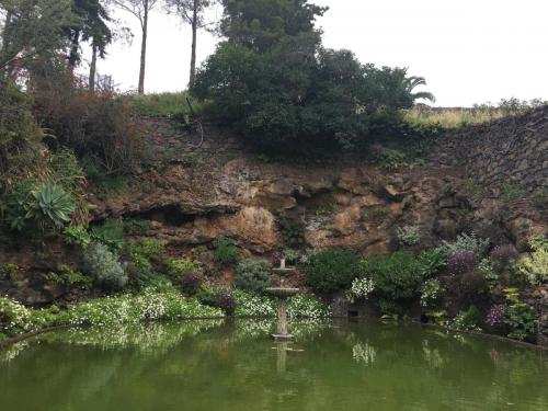 Madeira-Funchal-jardim-botanico-botanischer-garten-2