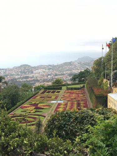 Madeira-Funchal-jardim-botanico-botanischer-garten-4