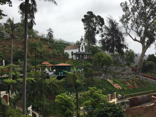 Madeira-Funchal-monte-1