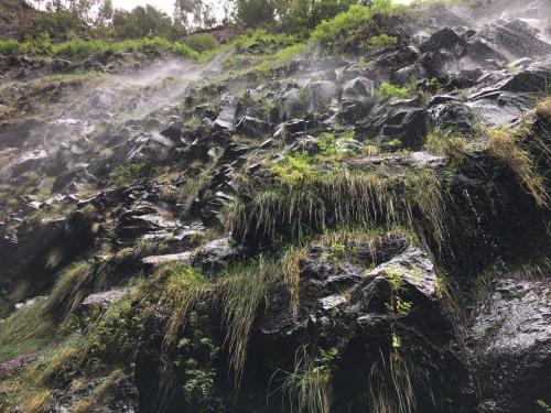 Madeira-Levada-do-Risco-3