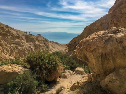 Wanderung durch die Oase En Gedi in der Negev-Wüste in Israel