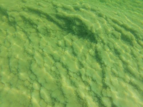 Salzkanten im Toten Meer in Israel