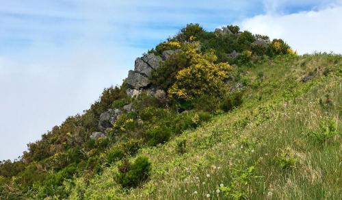Grüne Wiese, blauer Himmel: So schön kann die Hocheben Paul da Serra auf Madeira bei Sonnenschein sein