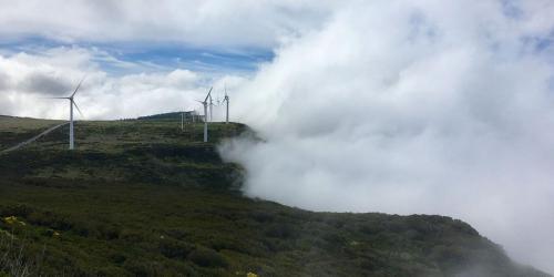 Nebel zieht auf: Und gleich ist ein Teil der Windräder auf der Hochebene Paul da Serra nicht mehr zu sehen.